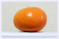 SIGMA 4.5mm FISHEYE摜