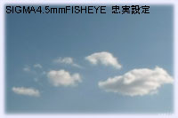 SIGMA4.5mmݒ