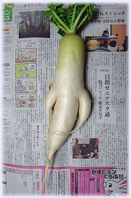 卪