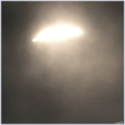 _ChO̓_ł