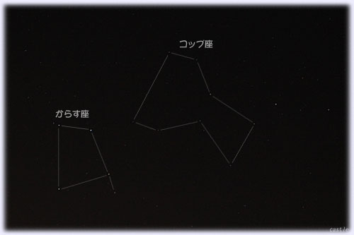 炷ARbv