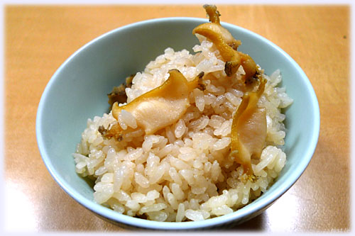 鸔