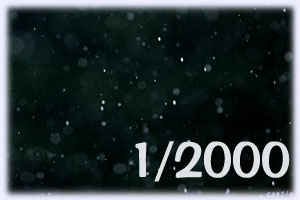 1/2000