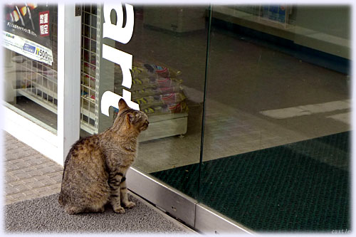 �҂j�����R