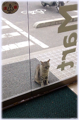 �҂j�����R