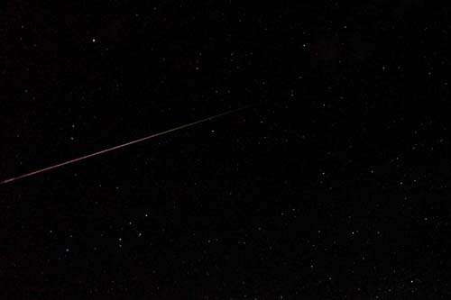 �y���Z�E�X�������Q