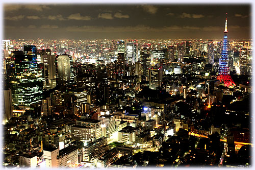 �����̖�i