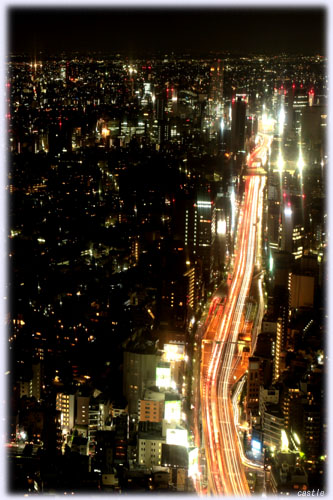 �����̖�i