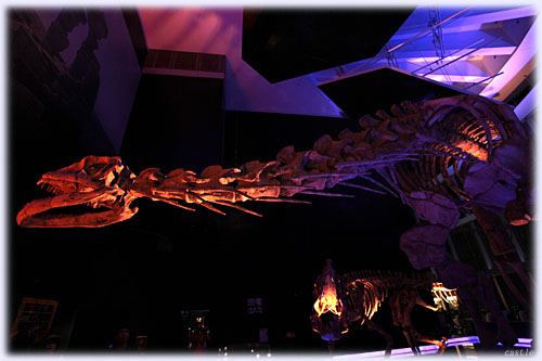 �����W������Ă܂����B