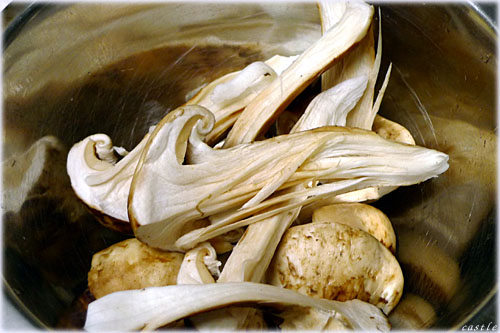 焼き松茸