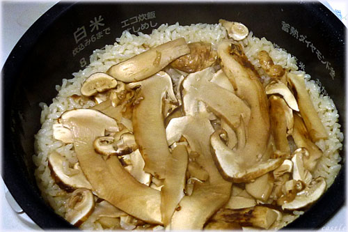 松茸御飯