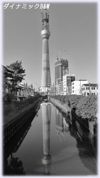 ダイナミックB&W