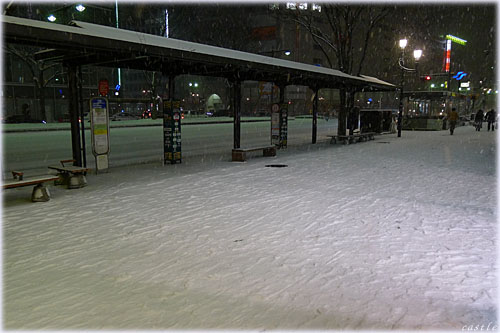 この冬一番の雪＠仙台