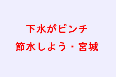 ߐ悤