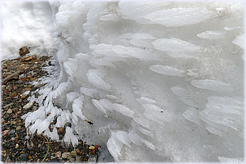 プチ樹氷