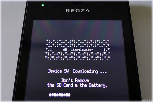 REGZA PHONE