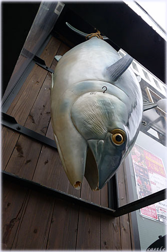 ݂艺}O