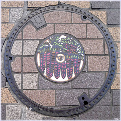 ̃}z[