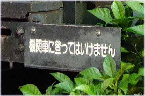 MCwO