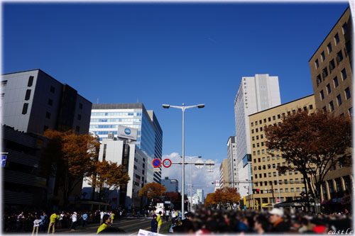 パレード日和