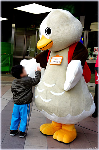 p^肳
