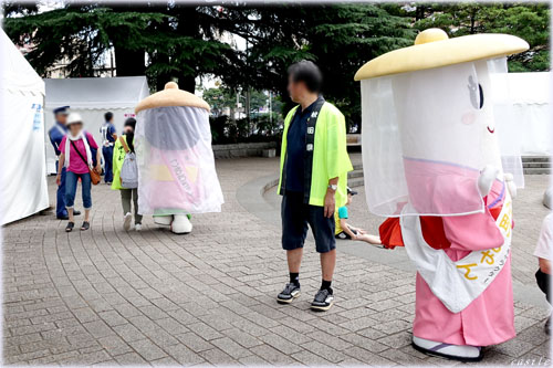 たんぽ小町ちゃん・こまちちゃん