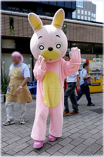 桃色ウサヒ