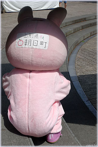 桃色ウサヒ