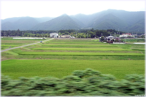 田