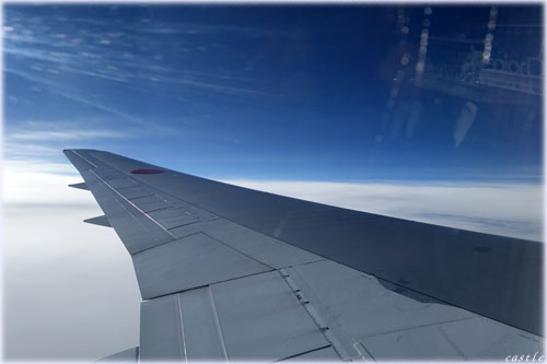 飛行機