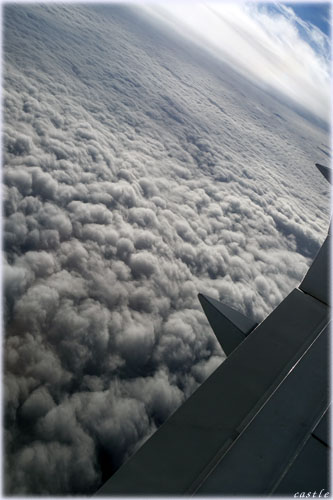 雲海