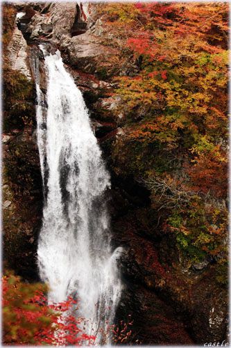 秋保大滝と紅葉