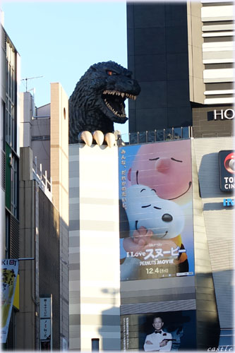 ̕꒬