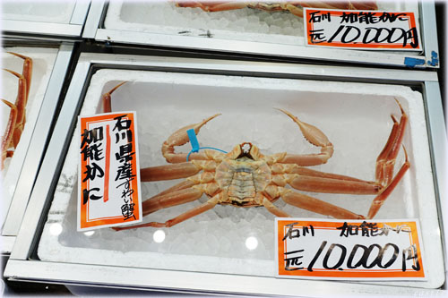 \Ɂߍ]s