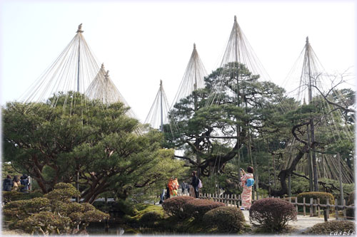 兼六園