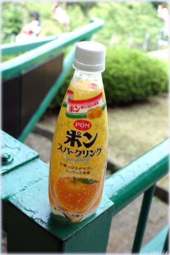 ポンスパークリング