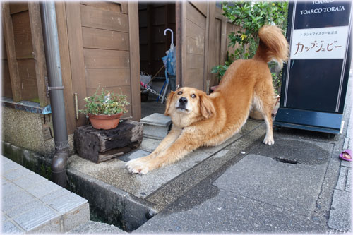 ͂炢