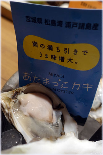 宮城県・松島湾の瀬戸諸島産「あたまっこカキ」
