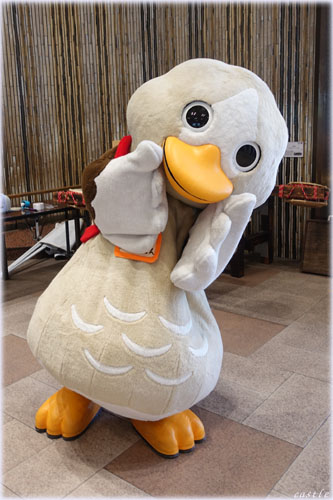 p^肳