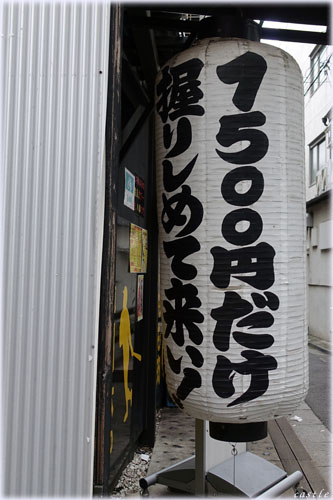 1500~H׈ݕ