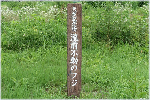 Os̃tW