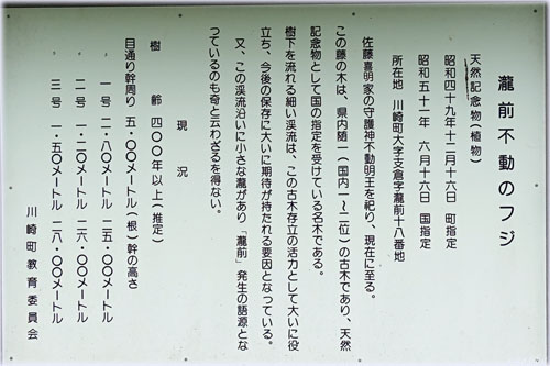 Os̃tW