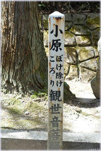 ぼけ除けころり観世音菩薩