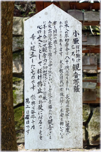 ぼけ除けころり観世音菩薩