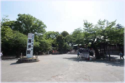 쑽@