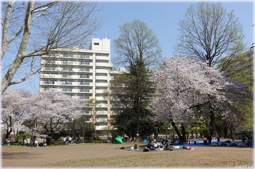 都立戸山公園
