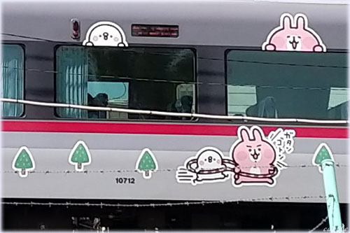 sXPd
