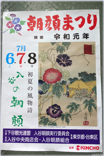 朝顔まつり@入谷