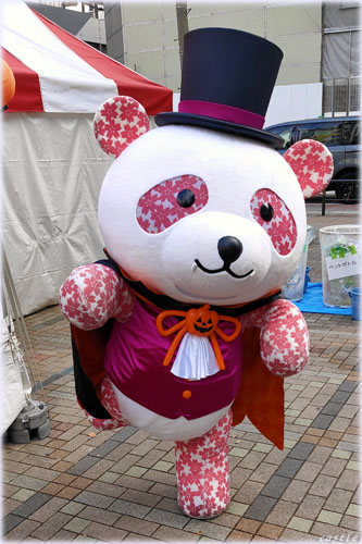 上野御徒町でパンダ