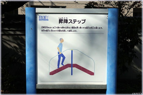 亀塚公園でストレッチ